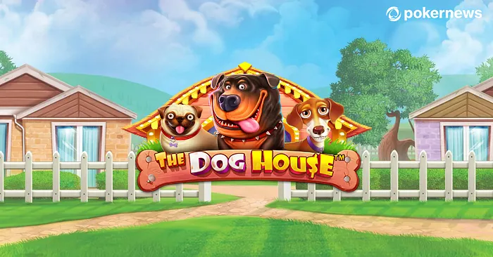 The Dog House - screenshot z hry